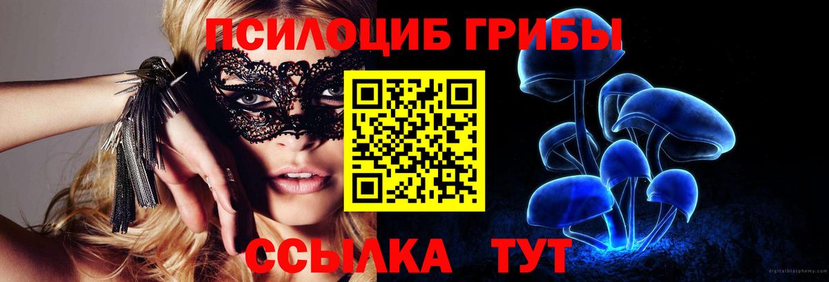 Галлюциногенные грибы прущие грибы  Вход с VPN  Сланцы  Галлюциногенные грибы мухоморы 